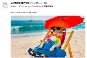 Llegó el verano al norte del planeta y los memes fueron protagonistas