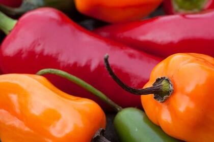 El uso de chiles aportó condimentación a los alimentos que se preparaban en Europa y Asia