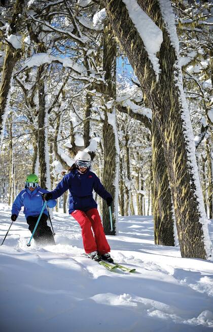 Hay pistas para todos los niveles de dificultad. Las más difíciles, entre los árboles.