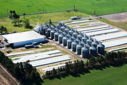 Hay plantas procesadoras desde Salta a Bahía Blanca
