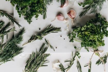 Hay plantas que ayudan a combatir la plaga de cucarachas (Foto Pexels)