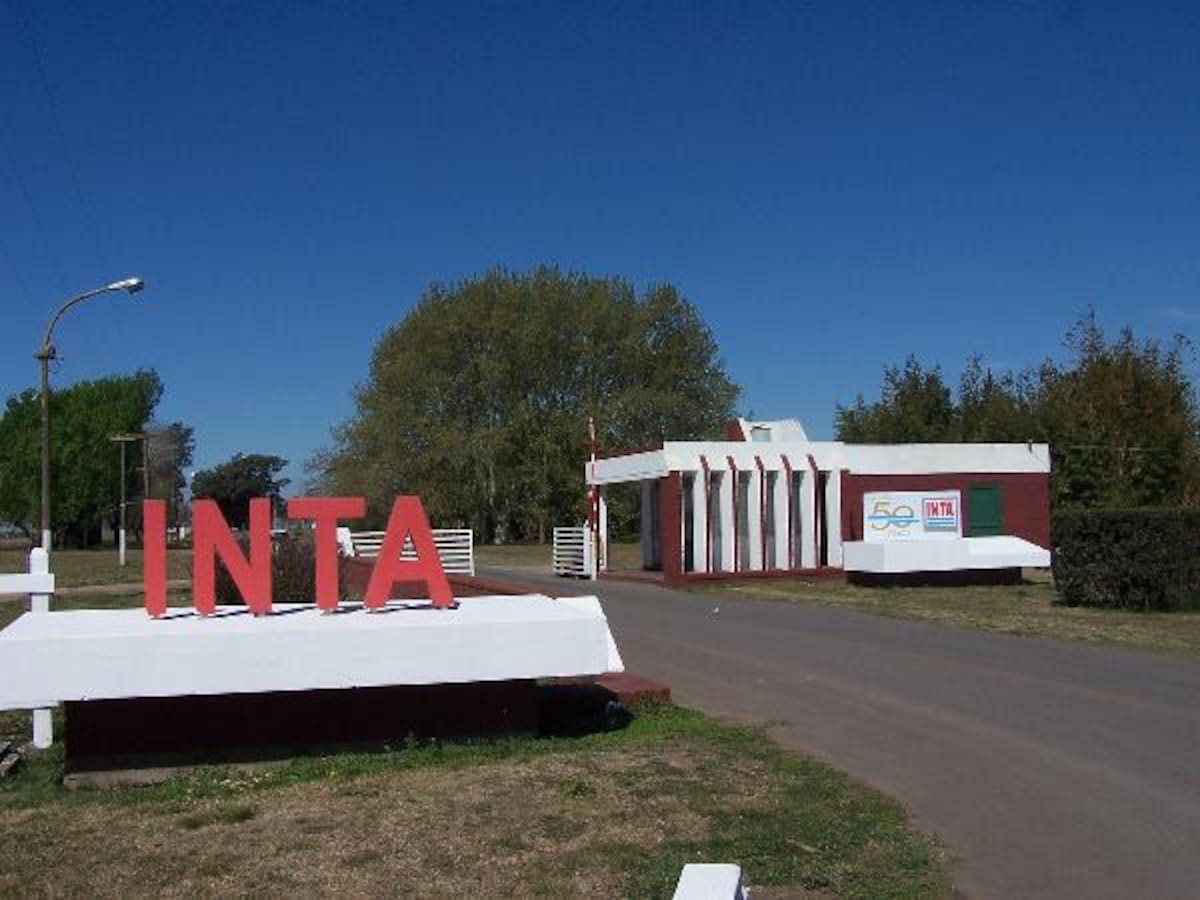 Relacionado ao Kirchnerismo: LA NACION