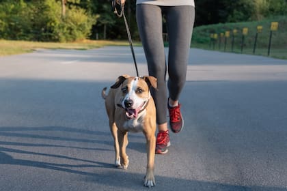 Hay que complementar las caminatas con sesiones semanales de 20 minutos de entrenamiento de fuerza