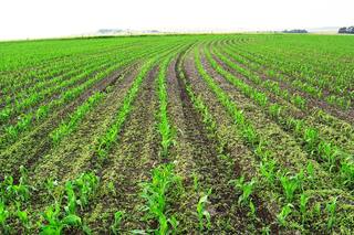 ¿Cuánto vale mi empresa agrícola?