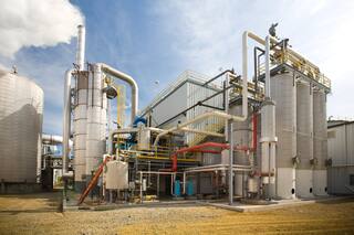 Bioeconomía: una oportunidad estratégica