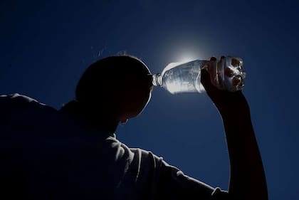 Hay que tomar aproximadamente ocho vasos de agua por día.