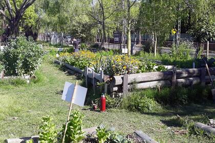 Hay quienes brindan solidariamente herramientas para que otros se capaciten y cultiven la tierra.