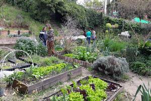 Escuelas de huerta y jardinería: 3 espacios comunitarios para aprender y conocer