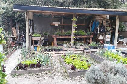 Hay quienes brindan solidariamente herramientas para que otros se capaciten y cultiven la tierra.