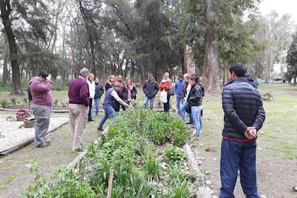 Hay quienes brindan solidariamente herramientas para que otros se capaciten y cultiven la tierra.