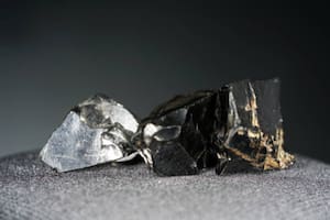 Hay quienes la consideran un potente antiinflamatorio que protege al cuerpo del daño de los radicales libres (Foto: Pixabay)