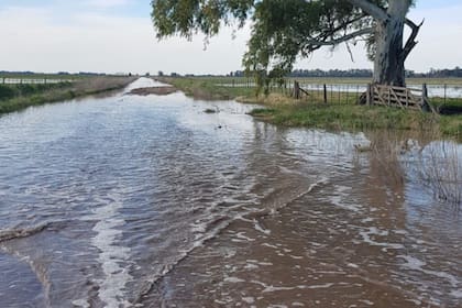 Hay regiones con fuertes anegamientos