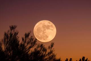 Si hay Luna llena ¿se avecina un terremoto?