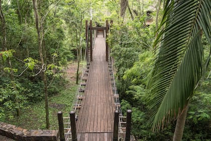 Hay sectores del Loi Suites Iguazú que están intercomunicados por pasarelas colgantes.