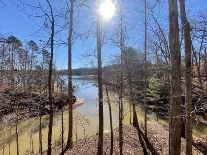Hay senderos para hacer caminatas o correr dentro del Parque Tungaloo