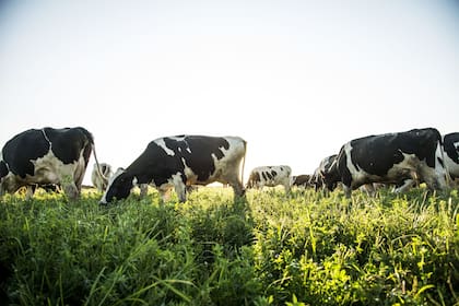 Hay tecnologías para dar un salto de productividad