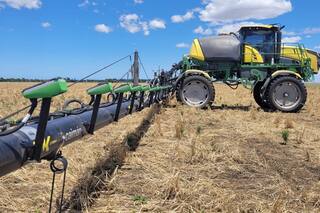 La batalla contra las malezas debe entrar en otra esfera