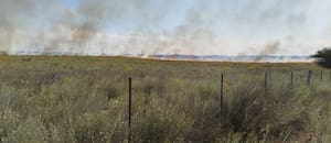 Por el fuego en La Pampa denuncian la muerte de ganado y hay un temor latente