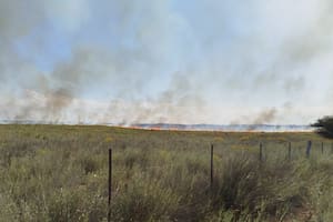 Por el fuego en La Pampa denuncian la muerte de ganado y hay un temor latente