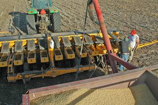 Impuestos distorsivos y el campo: el récord mundial de la Agentina