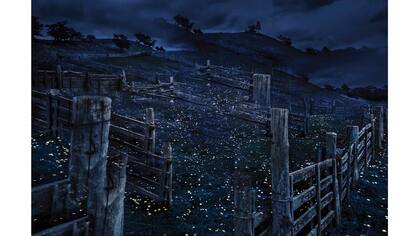 "Hay toda una generación muy joven que está reincorporando los saberes ancestrales a la vida en Tierra del Fuego. Creo que es un resurgir, un eterno retorno circular, y me interesa trabajar sobre esa revalorización", sostiene Janowski