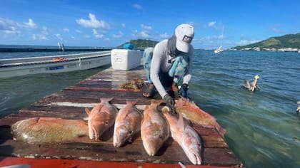Hay un antes y un después para la vida pesquera de San Andrés y Providencia tras el fallo de la Haya en 2012