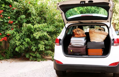 Hay un listado de productos cuyo ingreso a Brasil está prohibido