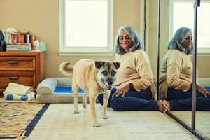 Cómo calcular la edad de un perro que fue rescatado