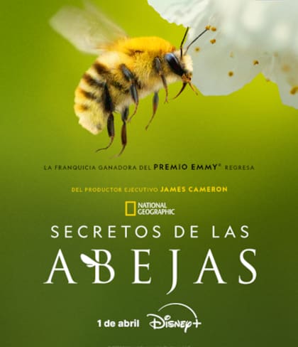 Hay una gran expectativa por este nuevo documental (Foto: National Geographic)