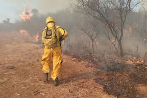 El calor y el viento complican las tareas de los bomberos que combaten los incendios