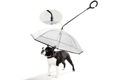 Hay varias advertencias a la hora de elegir usar este tipo de paraguas para mascotas