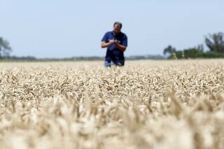 Convertirnos en el supermercado del mundo, ¿una utopía?