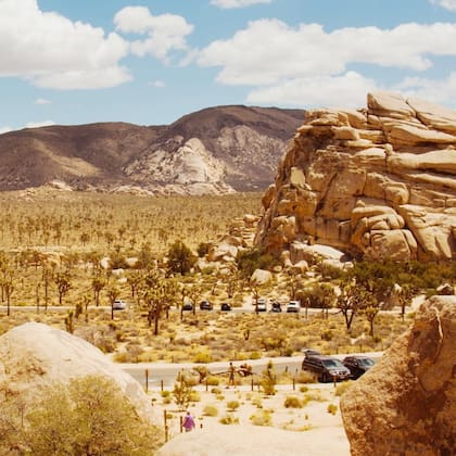 Hay varios senderos y rocas para escalar en el Parque Nacional Joshua Tree (Instagram/@viagemeturismo)