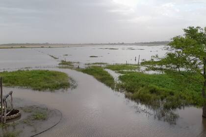 Hay zonas del campo en donde asegura que tiene al menos 2 metros de agua