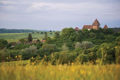 “He llegado a amar Rumania: su cultura y arte, su patrimonio e historia, sus paisajes extensos y su biodiversidad invaluable”, declaró la semana pasada el soberano en el Salón de la Unión del Palacio del Parlamento. Aquí, una vista de Viscri, con su iglesia medieval, uno de los pueblos rumanos que enamoró en los 90 al primogénito de Isabel II.