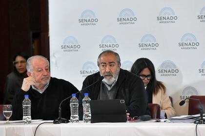 Héctor Daer en el debate del proyecto de ley Bases y Puntos de Partida para la Libertad de los Argentinos en el Senado, el 13 de mayo de 2024