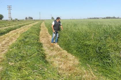 Hector Quiroga, contratista forrajero y de grannos
