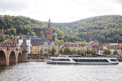 Heidelberg, la ciudad alemana donde científicos consagrados y jóvenes compartieron sus intereses y sus preocupaciones sobre la evolución de la IA
