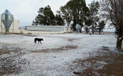 Heladas y nevadas en la region nucleo