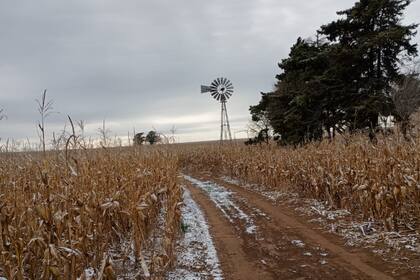 Heladas y nevadas en la region nucleo