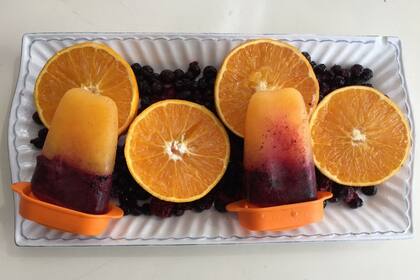 ¡Helados caseros! Son ideales para darles a los chicos