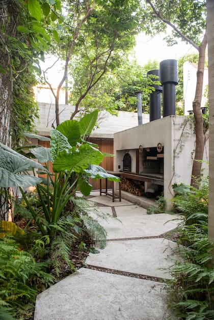 Helechos, trepadoras y herbáceas se desarrollan bajo la cobertura existente, mientras el piso de hormigón organiza el recorrido y articula el espacio