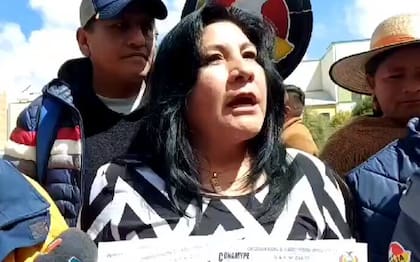 Helen Rivero, presidenta de la micro y pequeña empresa de Bolivia