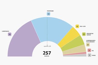 Los que saltaron al bloque libertario y quiénes serán los árbitros para aprobar leyes