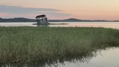 Henry Ford nunca puso un pie en Fordlandia, pero invirtió una fortuna para crearla y sostenerla durante casi dos décadas. En la imagen, casa hundiéndose en Fordlandia, en el amazonas brasileño.