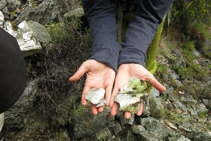 Restos de fuselaje del avión que encontraron en una de las expediciones a la montaña