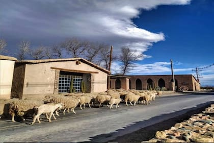 Hermosa vista de la finca