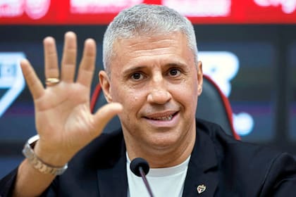 Hernan Crespo manifestó su deseo de volver al Estadio Monumental para dirigir River