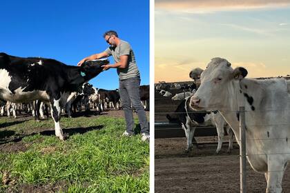Hernán Francois con sus animales en el campo