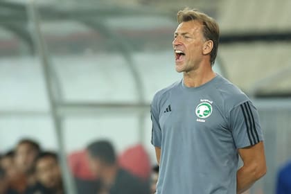 Hervé Renard, el entrenador que con Arabia Saudita le ganó a la Argentina en el Mundial, dejó el cargo